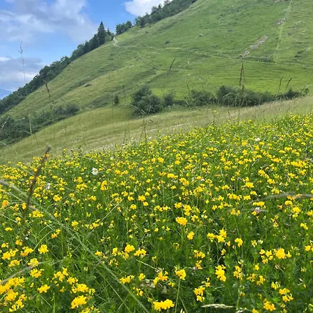 Berg Aparts Faschina 7 * Fontanella